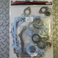 Oregon Briggs & Stratton Engines 495868 50-436 Gasket Set